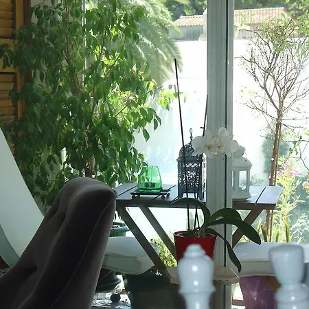 Apartment Overlooking Botanic Garden And Castle *