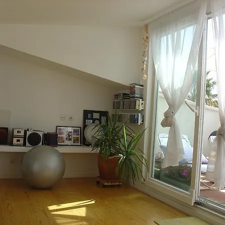 Apartamento Overlooking Botanic Garden And Castle *